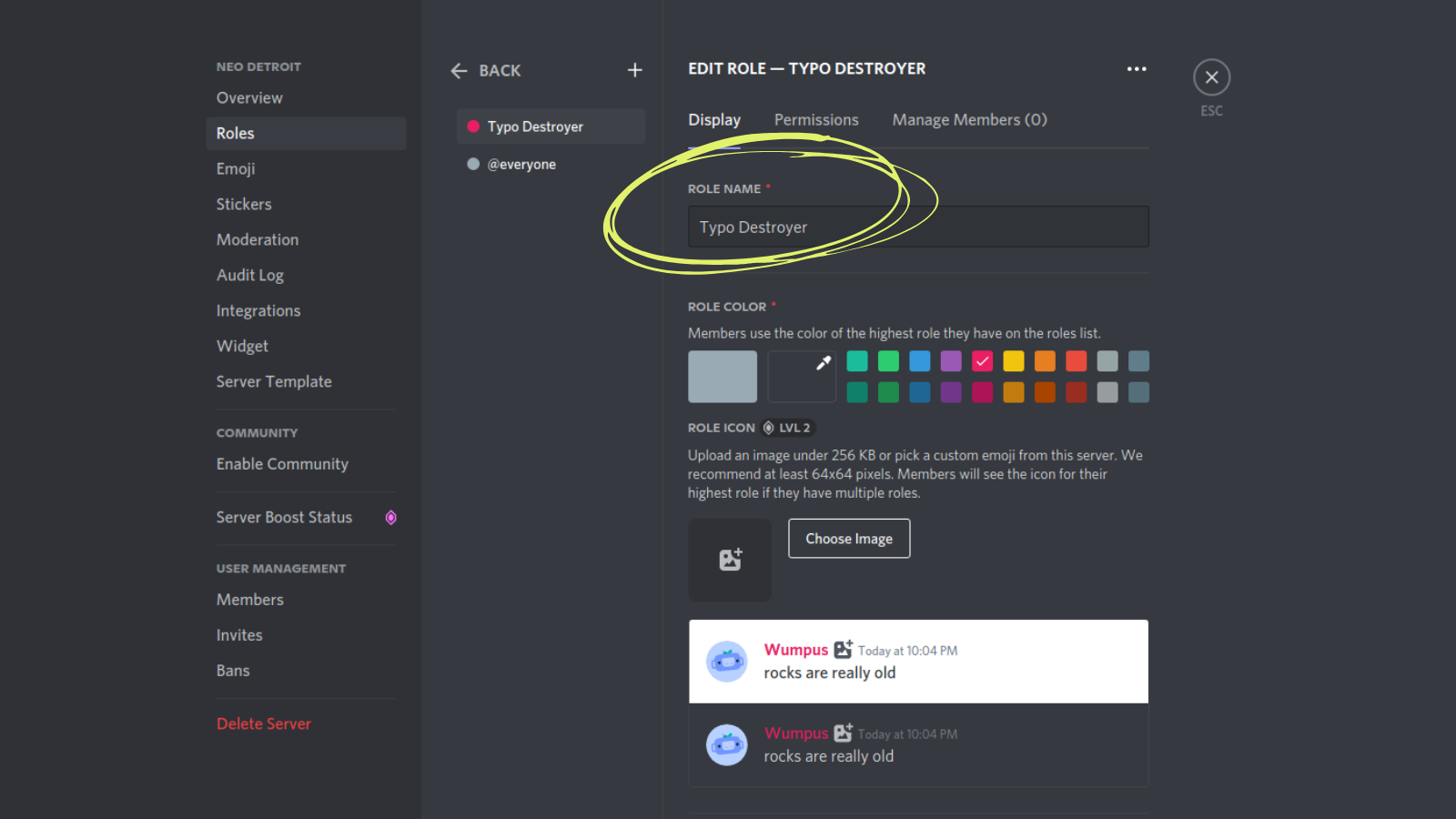 Role name:* Typo Destroyer. Role color: Members use the color of the highest role they have on the roles list. Role icon.