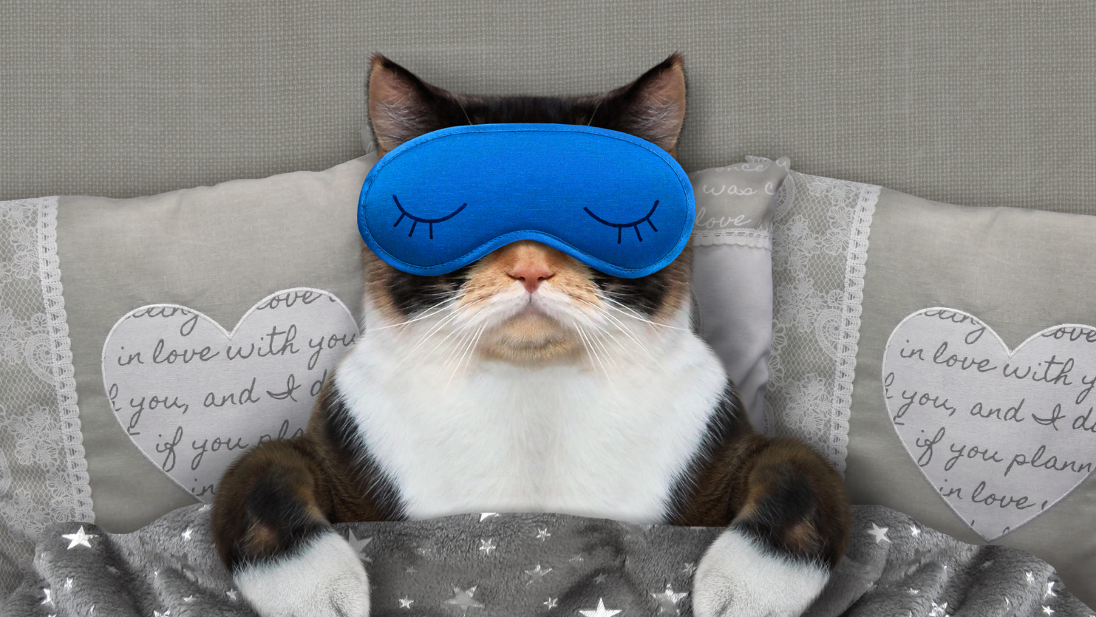 Cat sleeping with an eye mask and pillows.