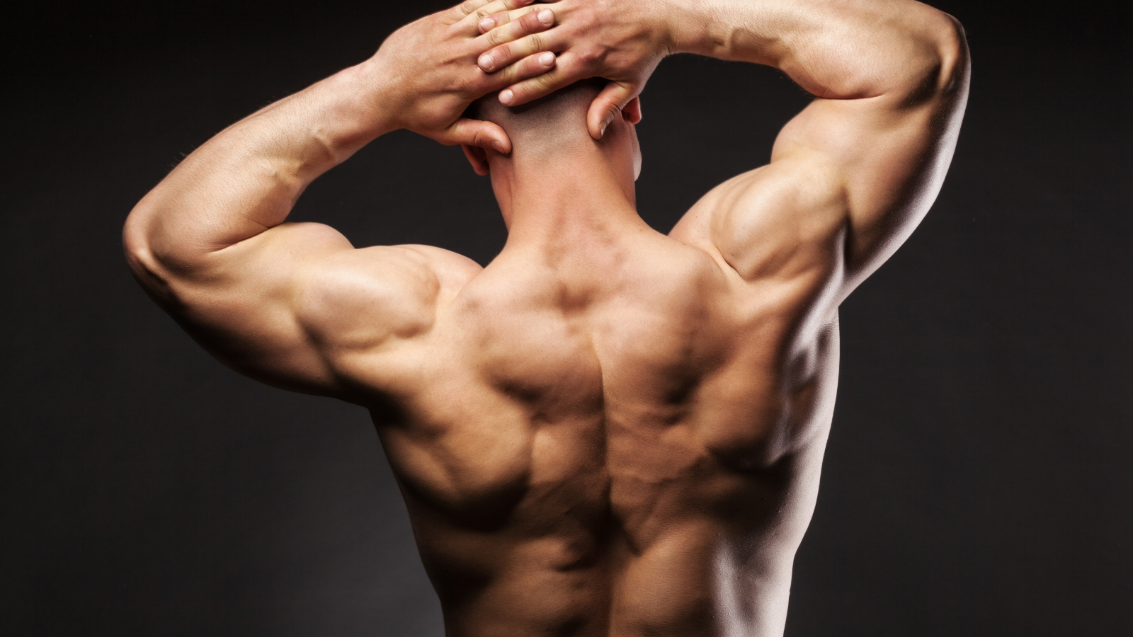 Muscular, physically fit male flexing from behind.