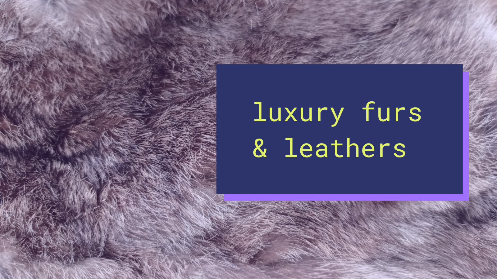 Draped in wealth: 10 luxury furs and leathers worn by the elite