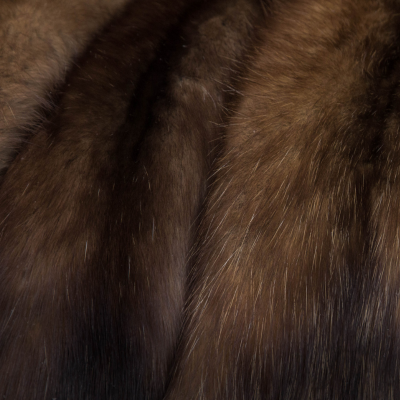 Luxurious reddish-brown sable pelts.