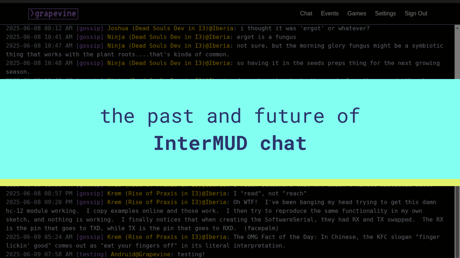 Bridging virtual worlds: past and future of the InterMUD chat network